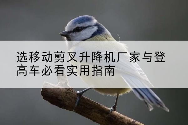 华安电动升降机厂家-选移动剪叉升降机厂家与登高车必看实用指南