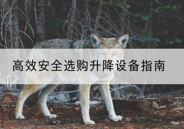 华安升降货梯厂家推荐-*安全选购升降设备指南